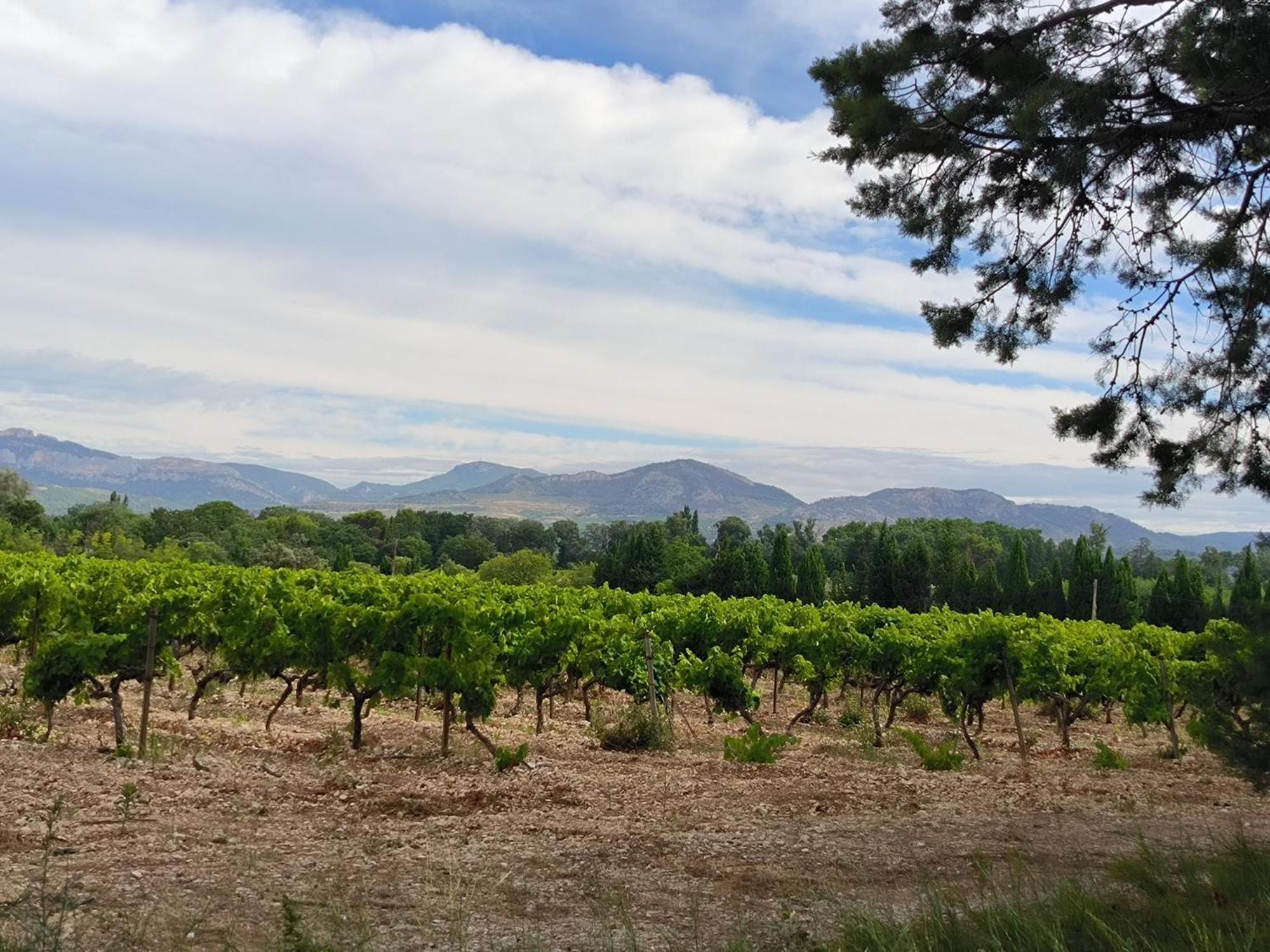 Mas L'escale Des Dentelles