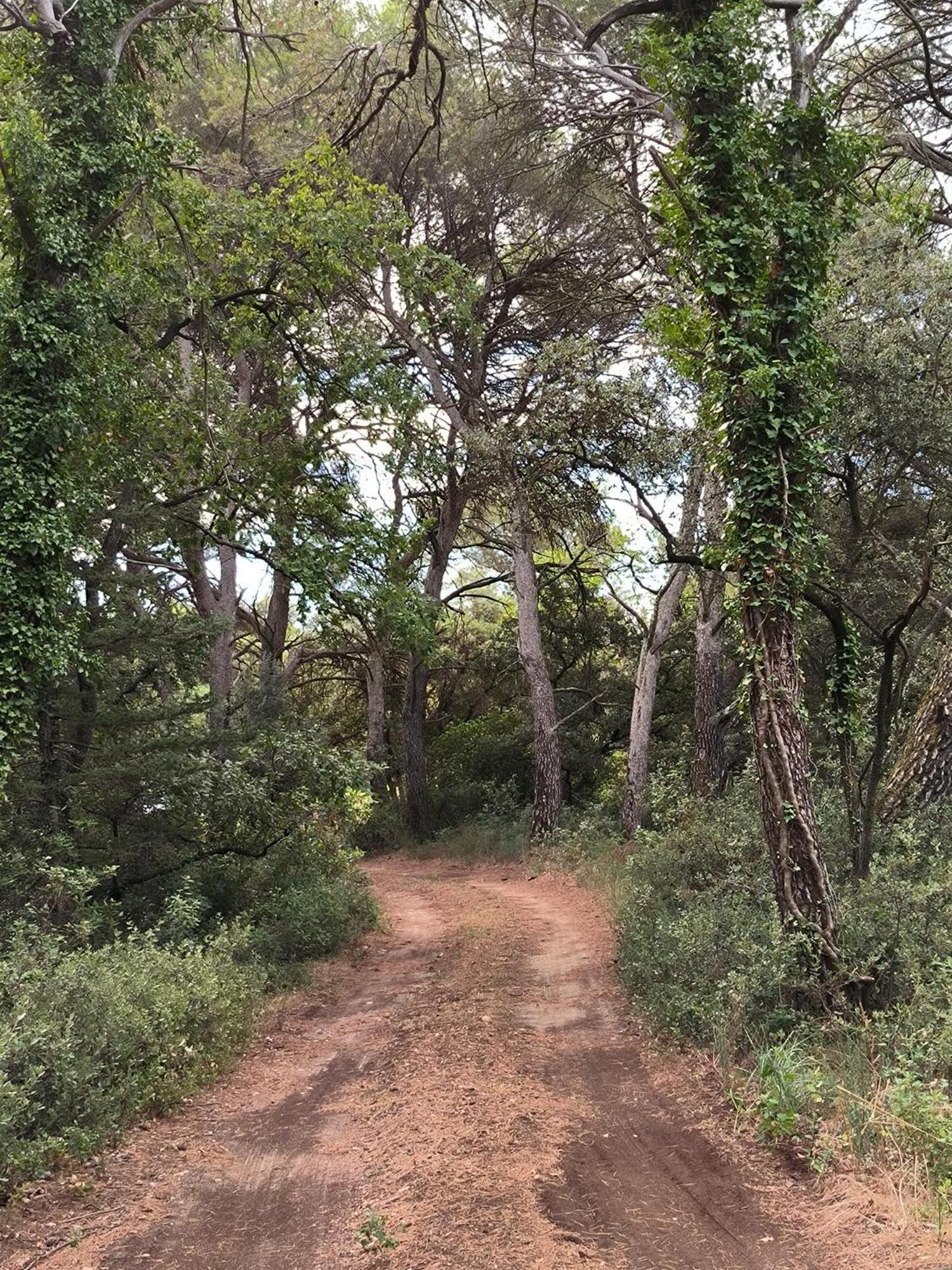 Mas L'escale Des Dentelles Villa Aubignan